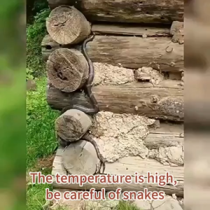 Snake Repellent Pills 1000m without snakes 10 pellets Portable Suitable for farm/outdoor/indoor Anti-Snake