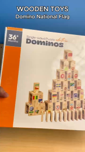 Hntob Wooden 100pcs Multilingual National Flag Domino Understanding World Early Education Toy
