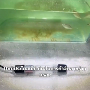 หลอดฆ่าเชื้อโรค หลอดฆ่าเชื้อโรค 13 วัตต์ หลอดฆ่าเชื้อโรคในตู้ปลา ใช้กำจัดสาหร่ายสีเขียวในตู้ปลา ฆ่าเชื้อและฟอกน้ำ
