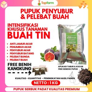 Pupuk Untuk Buah Tin: Panduan Lengkap