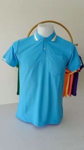 โปโลสีฟ้าขลิบขาวเหลือง