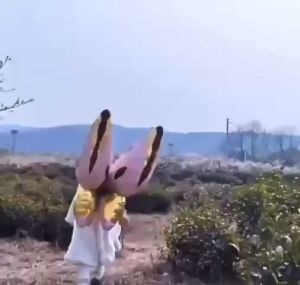 Bóng cánh bướm thiên thần đeo vai mẫu mới sinh nhật party