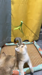 Dog Tail Grass Cat Teaser Flexible Stick Bite Resistant Cat Toy Extra Long Cat Teasing Artifact Mainan Kucing