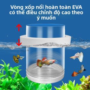 MONLEYTA | Hộp cách ly nhân giống cá chép Hộp ủ trứng cá chép Hộp cách ly cá con Hộp cách ly cá sinh sản chuyên dụng cho cá đuôi phượng