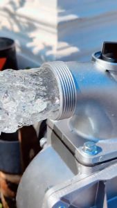 Harga Pompa Air Modifikasi Terbaru DSL 300 Pipa In/Out 2 Inch Alkon Diesel Cocok untuk Kolam Ikan Koi 24 Jam Nonstop Ready Siap Kirim