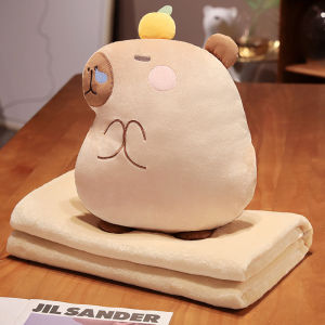 Four Seasons Car Sleep Blanket & Pillow