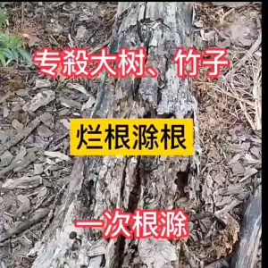 dead root rotten root racun rumput mati akar racun rumput paling kuat racun rumput Glyphosate effective weed control weed killer racun rumpai paling kuat racun rumput paling kuat murah racun rumput cepat mati racun rumput sambau 除草剂