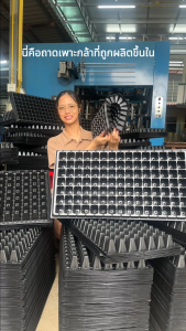 ถาดเพาะกล้า ถาดเพาะเมล็ด หนา 1.0 mm 3250105128200 หลุม แข็งแรง หนา ถาดเพาะเมล็ดผัก ใช้ซ้ำได้