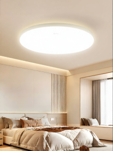 Bull | Ceiling Light Installation and Removal Service Circular Modern Simple