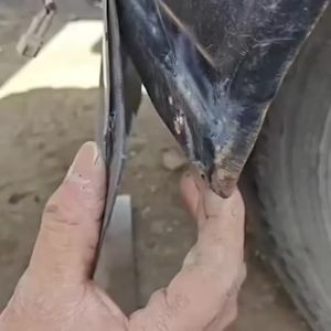 Dây Buộc Cáp Nylon Đa Năng Chịu Lực Cao Có Khóa Tự Hãm Chống Tia UV Kèm Khóa Cài Ghim Dùng Để Sắp Xếp Đồ Đạc