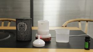 Humidifier Electric Aroma Air Diffuser Owl Ultrasonic Air Humidifier Essential Oil Aromatherapy Cool Mist Maker for Home