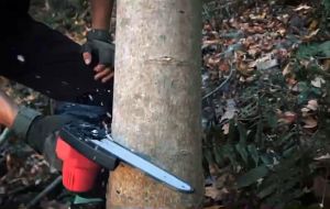 6-Inch Wood Cutting Saw & Makita Electric Chainsaw: A Comprehensive Guide