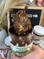 Pistachio & Biscoff Knafeh in a Jar 200 & 300ML By Zuri Cravings. 