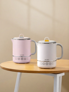 BUYDEEM | Portable Stainless Steel Electric Kettle 316