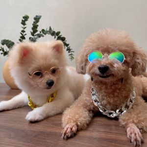 Abang Furry • READY STOCK Abang Gangster Pet Glasses Necklace Pet Collar Pet Jewelry Pet accessories for Dog Cat 宠物眼镜金银项链宠物首饰配件狗猫用品