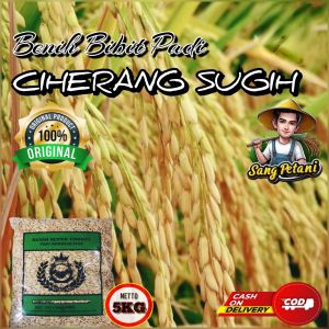 (5kg) Benih Padi CIHERANG SUGIH Bibit padi kualitas super unggul