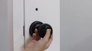 TUYA Smart Door knob Fingerprint Door Lock Smart Lock Biometric Door Lock Fingerprint Door knob with App Control