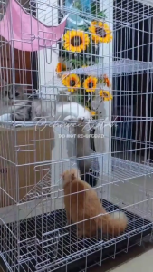 Cat Cage Heavy Duty Cat House Cat Villa 3/4 Layer Large Space With Wheels Mobile Indoor Villa