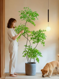 Luxurious Simulation Nandina Bamboo Plant Indoor Display