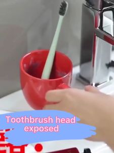 Ecoco ที่วางแปรงสีฟัน แบบติดผนัง บีบยาสีฟัน ไม่ต้องเจาะรู ถ้วยหลากสี Ecoco ของคุณ