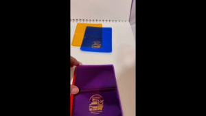 Drivers License Plastic Holder Colored Transparent