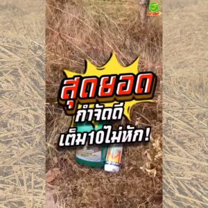 กำจัดวัชพืชถึงรากถึงโคน ผลิตจากธรรมชาติ100% เพชรดำพลังง้วนดิน2แกลลอน แถมกลูโฟซิเนต2ลิตร ไม่มีสารเคมี ไม่ทำลายดิน แต่ช่วยในการบำรุงดิน