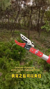 🪓SK5 Blade🔥3M/4M Fruit Picker Saw Gunting pokok Telescopic Galah Pemetik Buah Pole Gunting Buah