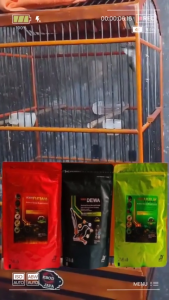 Pakan Burung Juara Voer HULK Voer DEWA