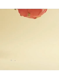 [SG] Crunchy Crispy Frozen Dry 100% Fruit Chips Freeze-Dried Healthy Snacks