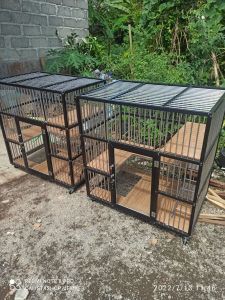 KANDANG KUCING 1 KAMAR