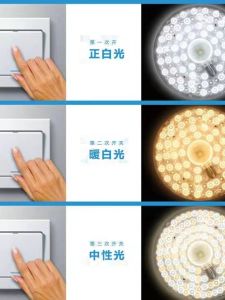 LED Ceiling Lamp Lamp Wick Replacement Magnetic Light Bar the Lamp Disc Lamp Tube Living Room Transformation Light Board Energy-Saving Lamp Bulb Bead round