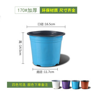 Two-Color Basin Thickened Blue White Raising Seedlings by Cuting Flowerpot Plastic Feeding Block Small Large Factory Family Strawberry Succulent
