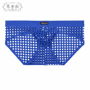 Quần Lót Nam Lưới Thoáng Khí Mỏng Mùa Xuân Quần Lót Cotton U Gợi Cảm Trong Suốt Cho Thanh Thiếu Niên Quần Lót Nam