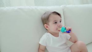 Aibeile Baby Feeding Nipple Baby Fruits Vegetables Feeder Newborn Baby Feeding Pacificers1/4pcs