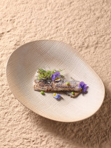 Coarse Ceramics Irregular Plates