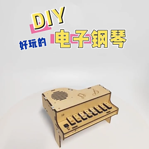 DIY Handmade Science STEM Kit: DIY Electronic Piano : Educational Science Toys: STEM Toy for Kids Wooden Toys