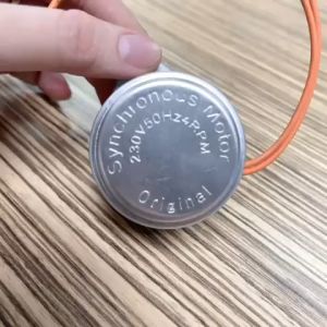 Synchron Motor/ Synchronous Motor/ Synco Motor  230V 50Hz