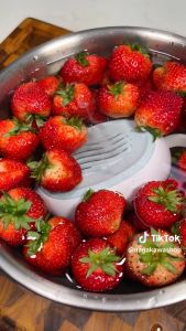 Máy khử khuẩn thực phẩm cầm tay Nagakawa NAG39-02 công nghệ Hydroxyl công nghệ IPX7 chống nước bảo vệ thiết bị pin sạc tiện dụng bảo hành 1 năm - Lazada