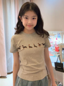 Jennie Grey Sausage Dog Short Sleeve T-Shirt Womens Summer Slim Fit Short Style Spicy Girl Top Korean Style Commute Print