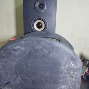 Củ loa bass 25 cực đẹp của Paudio thái lan từ 130- coil 38