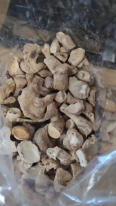 ขาเห็ด (คละไซส์)A น้ำหนัก 500กรัม และ1กิโลกรัม นำไปทำอาหารเจ มังสะวิรัติ ทานอร่อย