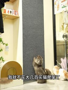 Cat Scratcher Anti-cat Scratch Sofa Protect Cat Claw Cat Scratch Board Wear-Resistant Non-Dandruff Cat Climbing Mat 防猫抓贴 防 貓 神器