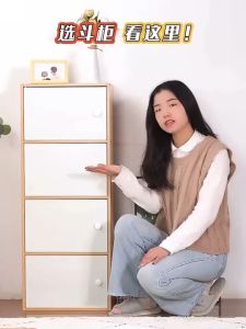 IGO 4/5 Layer Simple Locker Cabinet Organizer: Perfect Home Furniture Storage Solution