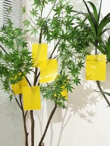 Double Sided Sticky Fly Board || Insect Traps Pest Killer Fly Orchard Fruit Fly Bugs || Super Sticky Glue Sticker