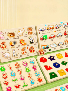 Shape Color Matching Puzzle Toy Educational