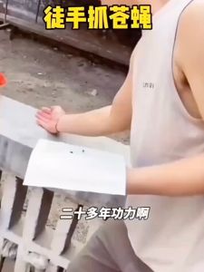 Fly Catcher Glue Board Fly Trap Board Traps Fruit Kitchen Flies