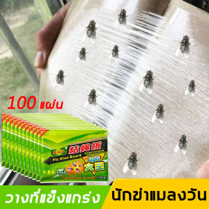 100 แผ่นตลูกแผ่นดักแมลงวัน แผ่นกาวดักแมลงวัน เป็นการใช้งานง่าย กาวแน่น กาวเต็มแผ่น มีสารล่อแมลง กระดาษแผ่นกาวดักแมลง กับ ดักแมลงวัน กาวติดแมลงวัน กาวดักแมลงวันทอง