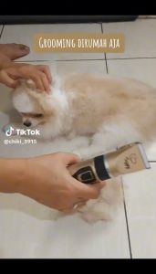 DIKIRIM CEPAT MESIN ALAT CUKUR ELEKTRIK HEWAN DOMBA KAMBING ANJING KUCING TANPA KABEL CAS TAJAM