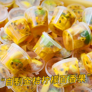 Independent Disposable Ice Maker Ice Cube Mold Fresh-Keeping Small Box Passion Fruit Lemon Travel Bottles Frozen Ice Cube