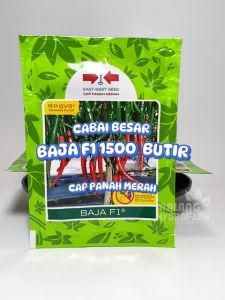 Benih Cabai Merah Besar Baja F1 1500 Butir Cap Panah Teropong Dataran Rendah Musim Kemarau